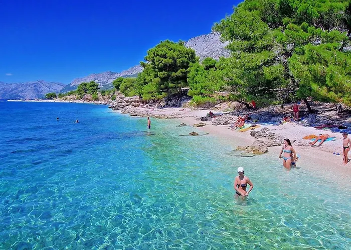 Pansion Knezovic Pensión